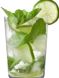 Eisch Barzubehör|Bargläser>2 Mojito-Becher 118/91 GR Secco Flavoured