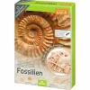Moses Experimentieren>AusgrabungsSet Fossilien