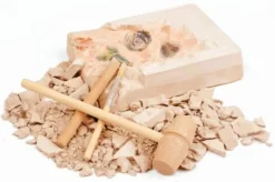 Moses Experimentieren>AusgrabungsSet Fossilien