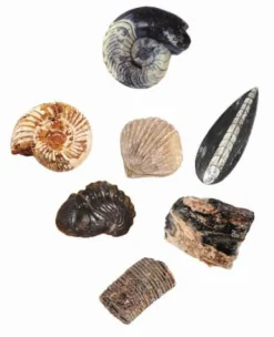 Moses Experimentieren><noscript><img width=