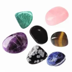 Moses Experimentieren><noscript><img width=