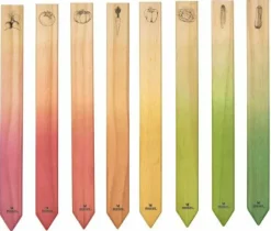 Moses Geschenkideen>Blatt & Blüte - Gemüsestecker