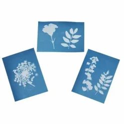 Moses Basteln>Blatt-und Blütenpresse mit Sonnendruckpapier - Exp