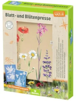 Moses Basteln><noscript><img width=