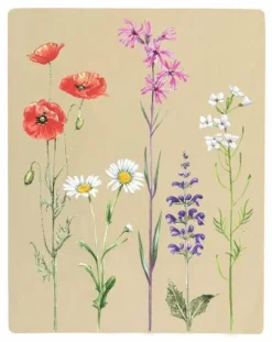 Moses Basteln><noscript><img width=