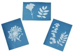 Moses Basteln><noscript><img width=