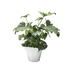 Georg Jensen A/S Vasen>Bloom Botanica Blumentopf groß 222mm,Edelstahl