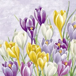 IHR Servietten Und Serviettenringe|Servietten>BLOOMING CROCUS Lilac Lunch-Servietten L1034180