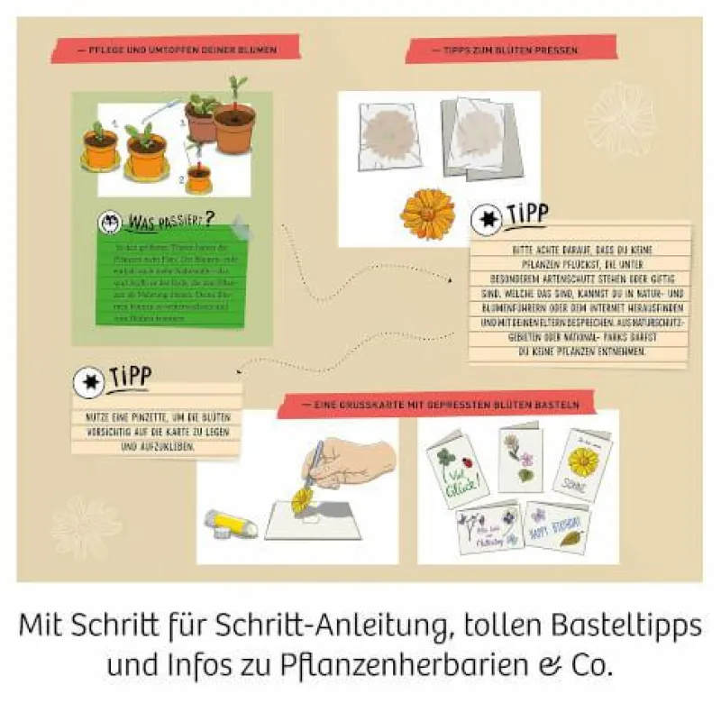 Kosmos Experimentieren>Blüten-Presse - Züchte und sammle Pflanzen und pre