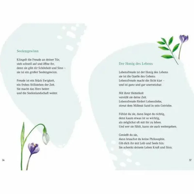 COPPENRATH SPG Geschenkbücher>Edizione Die Magie Des Lächelns (Kruppa)