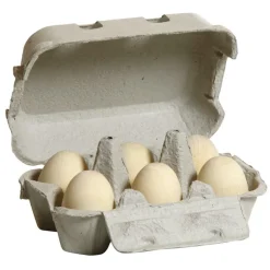 Erzi Kaufladen Und Spielküche>Eier, weiß im Karton