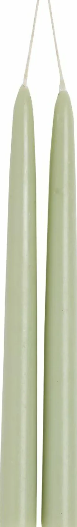 IHR Kerzen, Leuchter Und Zubehör>2er SPITZKERZE Sage 24 Cm Lang 1 Paar Spitzkerze