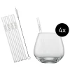 SCHOTT ZWIESEL Wasser, Saft Und Longdrink>4erTumbler After-work drink +4xTrinkhalm +Büste