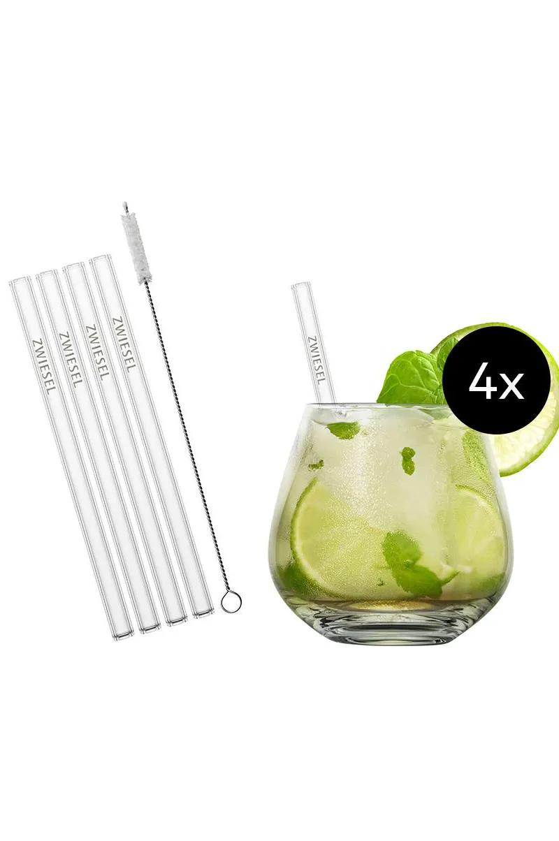 SCHOTT ZWIESEL Wasser, Saft Und Longdrink>4erTumbler After-work drink +4xTrinkhalm +Büste