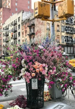 Ravensburger Geschenkartikel Für Große>Flowers in New York - Puzzle 300 Teile