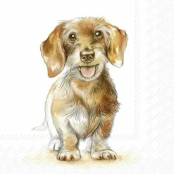 IHR Servietten|Servietten Und Serviettenringe>FRITZ Lunch-Servietten L1080800