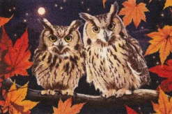 Kleen-Tex Fußmatten>Fußmatte Nacht Eule 50x75cm