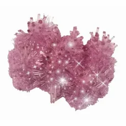 Moses Experimentieren><noscript><img width=