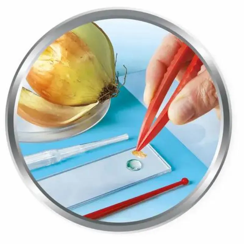 Clementoni Experimentieren>Galileo - Natur unter dem Mikroskop