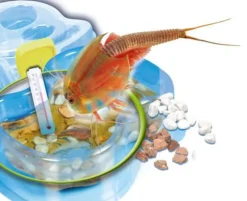 Clementoni Experimentieren><noscript><img width=