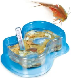 Clementoni Experimentieren><noscript><img width=