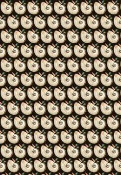 COPPENRATH SPG Geschenkbücher><noscript><img width=