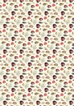 COPPENRATH SPG Geschenkbücher><noscript><img width=