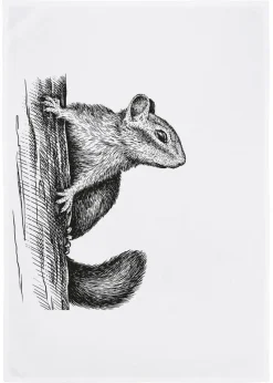 17;30 Küchentextilien>Geschirrtuch "Eichhörnchen" weiß Baumwolle