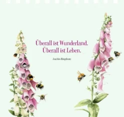 COPPENRATH SPG Geschenkbücher><noscript><img width=