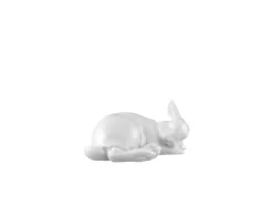 Fürstenberg Haus Und Küche>Hase 2020 Pauline Weiss