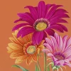 IHR Servietten Und Serviettenringe|Servietten>JOYFUL GERBERA Orange Lunch-Servietten L1038317
