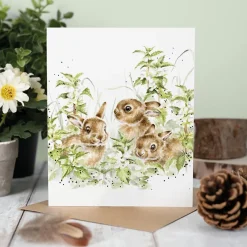 Wrendale Desings Ltd Karten>Karte Spring Hares