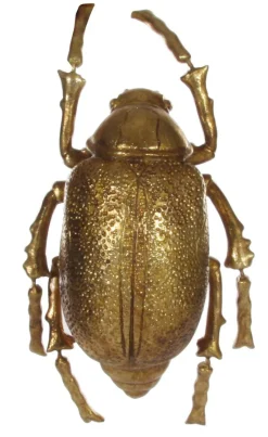 Shishi AS Dekoration>Käfer gold 25cm