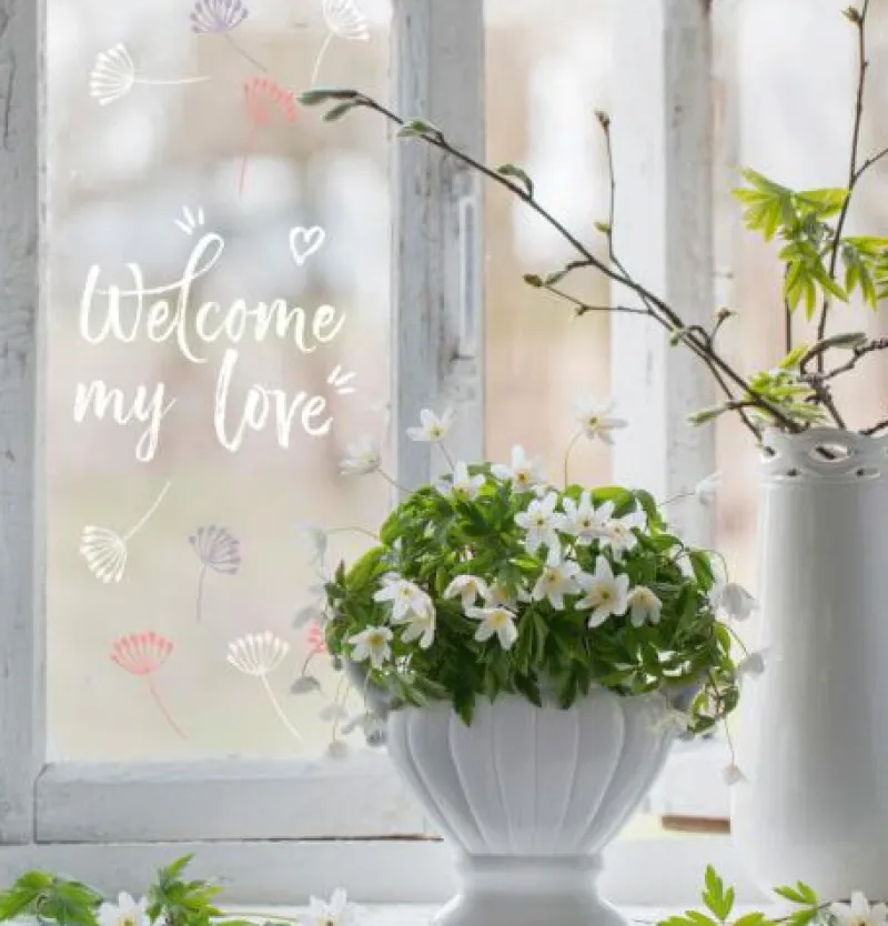 Vedes Malen Und Zeichnen>Kreidestifte 12er Set