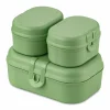 Koziol ideas for friends GmbH Aufbewahrung In Der Küche>Lunchbox Pascal Ready mini green