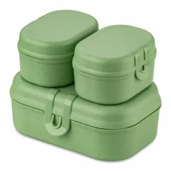 Koziol ideas for friends GmbH Aufbewahrung In Der Küche>Lunchbox Pascal Ready mini green
