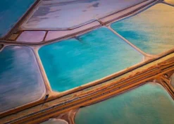 Schmidt Spiele Erwachsenenpuzzle>M. Gray: Pastelle - Puzzle 1000 Teile