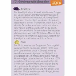 Moses Experimentieren><noscript><img width=