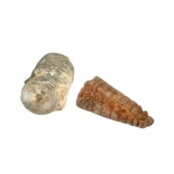 Moses Experimentieren><noscript><img width=