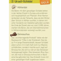 Moses Experimentieren><noscript><img width=