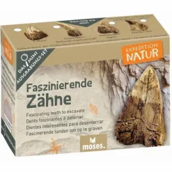 Moses Experimentieren><noscript><img width=