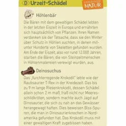 Moses Experimentieren><noscript><img width=