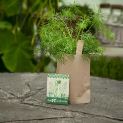 Die Stadtgärtner Geschenkideen><noscript><img width=