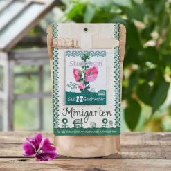 Die Stadtgärtner Geschenkideen>MInigarten Stockrosen