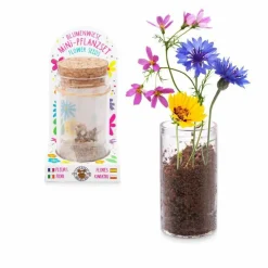 Trendhaus Geschenkideen>Mini-Pflanzset Blumenwiese