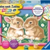 Ravensburger Malen Und Zeichnen>Niedliche Häschen - Malen nach Zahlen