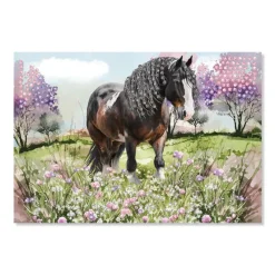 Mauder Verlag Basteln>Pferd Set Nr.3 Tinker, TapirElla Diamantbilder