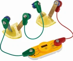 Moses Experimentieren><noscript><img width=