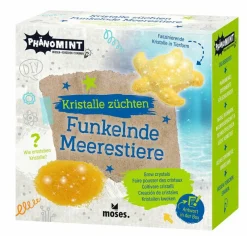 Moses Experimentieren>PhänoMINT - Funkelnde Kristalltiere züchten, sorti