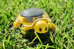 Moses Experimentieren><noscript><img width=